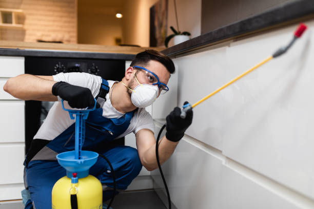 Pest Control Cost in Sealy, TX