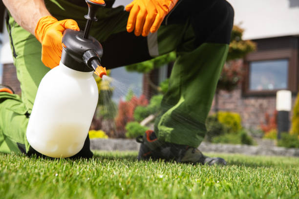 Professional Pest Control in Sealy, TX