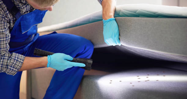 Best Mosquito Control Services  in Sealy, TX