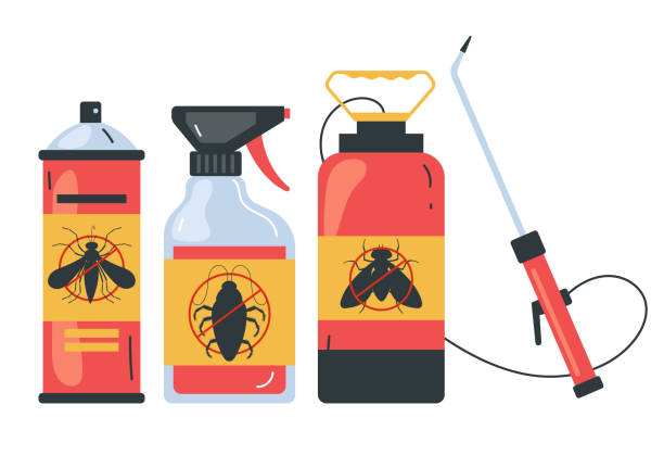 Best Spider Control Near Me  in Sealy, TX