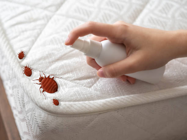 Best Pest Prevention Services  in Sealy, TX