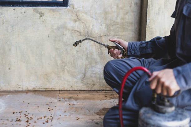 Best Commercial Pest Control Services  in Sealy, TX