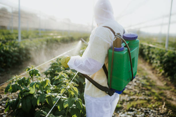 Best Pest Removal Services  in Sealy, TX